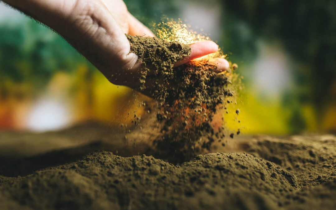 Naturalne nawożenie i ochrona roślin w uprawie ziół