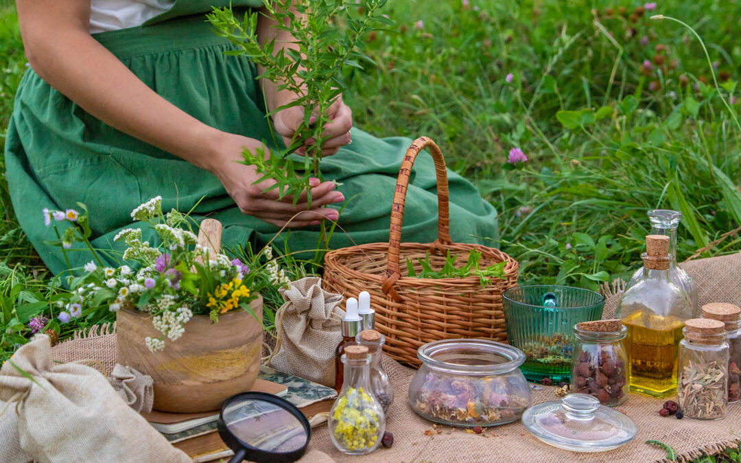 Zioła z certyfikatem BIO – czy warto inwestować w uprawy ekologiczne?