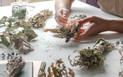 Przygotowywanie ziół na skup – jak ważne jest odpowiednie suszenie