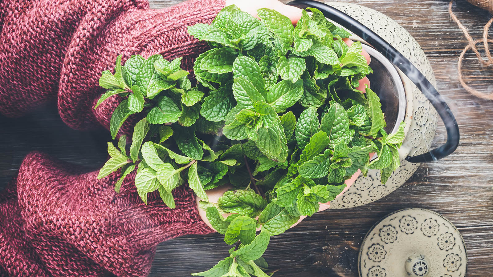 właściwości zdrowotne i kulinarne mięty pieprzowej